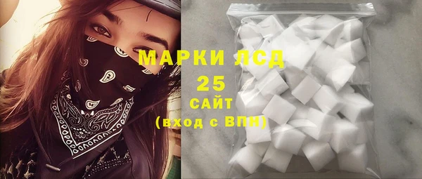 индика Балахна