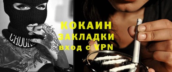 индика Балахна