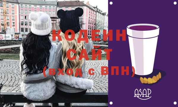 индика Балахна