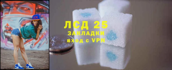 индика Балахна