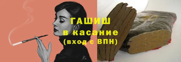 индика Балахна