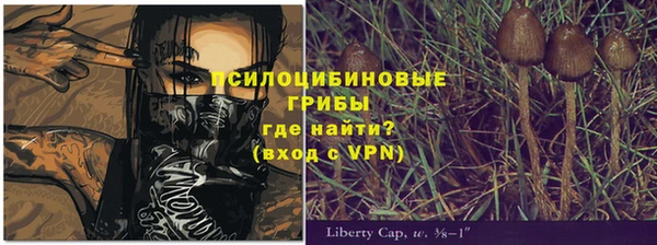 индика Балахна