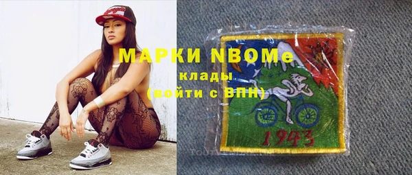индика Балахна