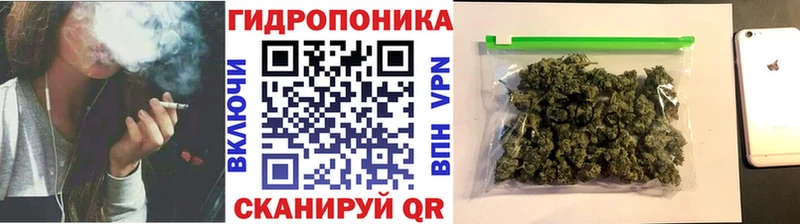 Канабис Amnesia Кропоткин